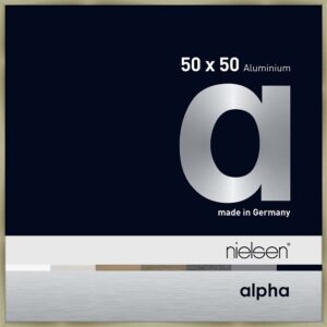 Alpha Acier brossé 50 x 50 cm