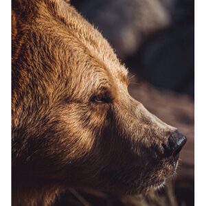 Ours