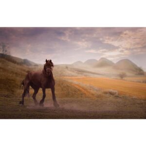 Cheval