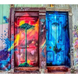 Portes secrètes