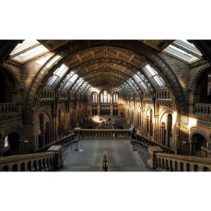 Museum histoire naturelle Londres