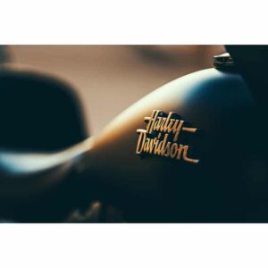 Harley Davidson